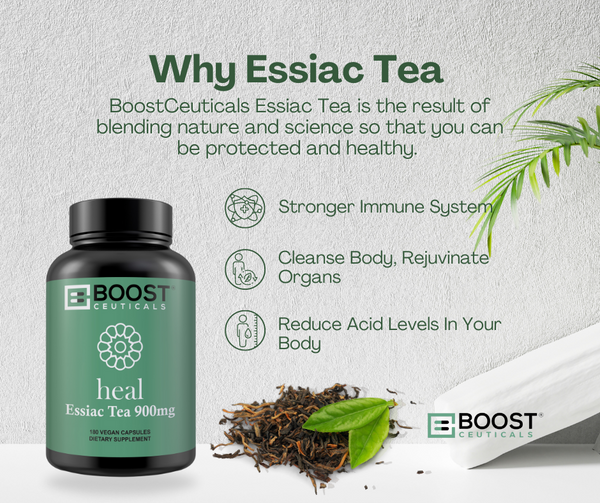ESSIAC TEA 450mg 180 CAPSULES - Boostceuticals®