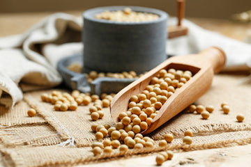 How to Take Nattokinase for Maximum Benefits & Optimal Health
