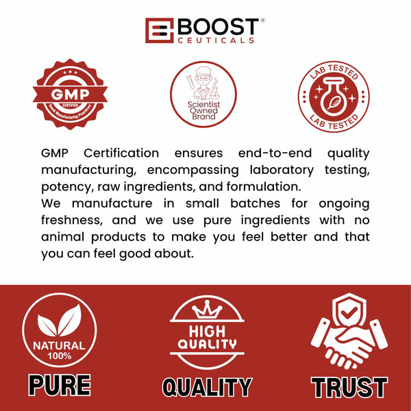 best reishi mushroom capsules USA
