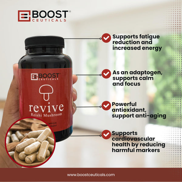 best reishi mushroom capsules USA