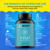 co q 10 supplement